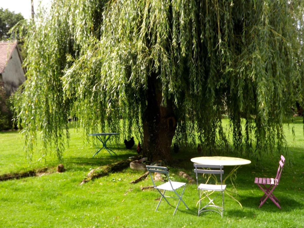 Les Anniquins Villa Ivoy-le-Pre Exterior photo